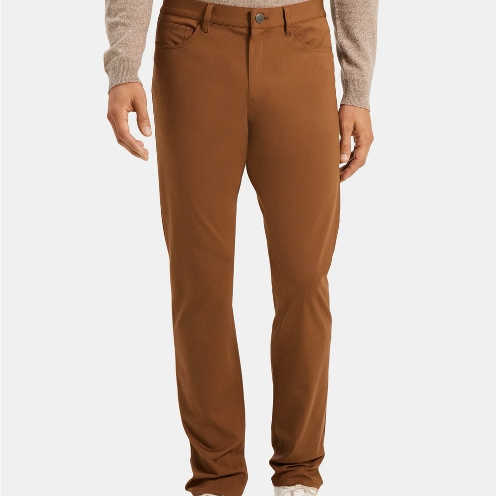 NWT Brown Theory Raffi Pant